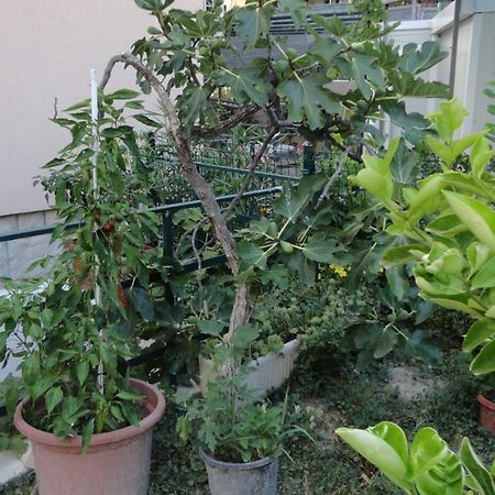 Apartman Paro Split Zewnętrze zdjęcie