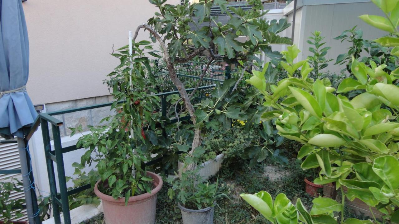 Apartman Paro Split Zewnętrze zdjęcie
