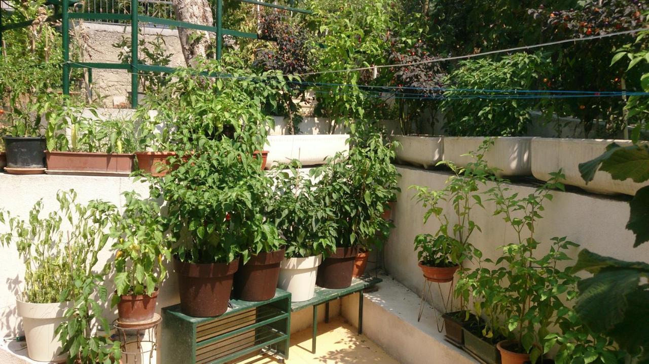 Apartman Paro Split Zewnętrze zdjęcie
